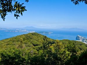 Riserva Naturale di Monte Cretaio