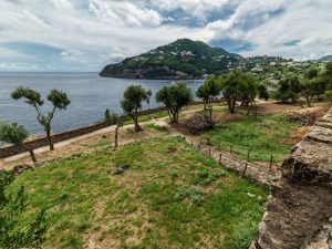 Ischia - Castello aragonese