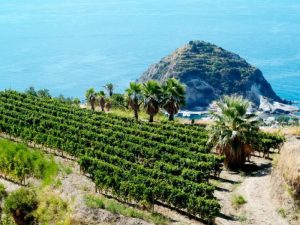 Vigneti Ischia