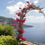 attrazioni isola di ischia