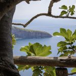 attrazioni isola di ischia