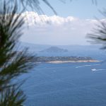 attrazioni isola di ischia