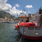 attrazioni isola di ischia